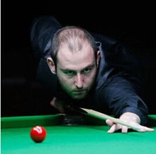 不适应甚至 不适应甚至