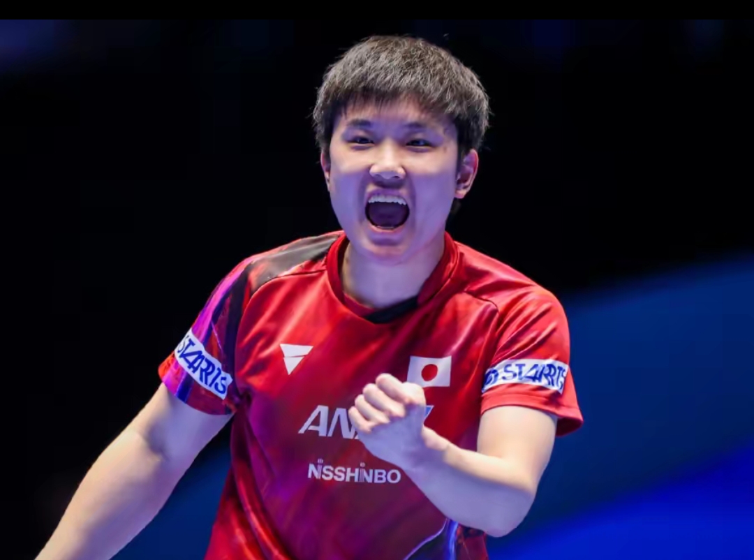 大牌巨星 大牌巨星